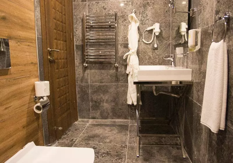 Standard Yhden Hengen Huone, Best Western Hotel Peine Salzgitter