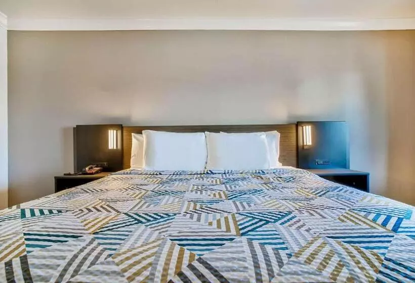 اتاق استاندارد برای معلولان, Motel 6 Menifee, Ca
