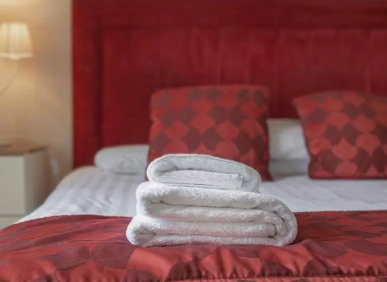 اتاق استاندارد, The Castle Of Brecon Hotel, Brecon, Powys
