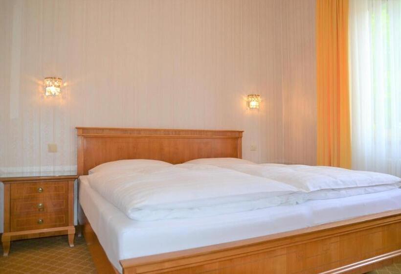 اتاق استاندارد, An Der Wien