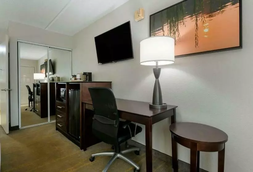 身障者適用キングサイズベッドルーム, Best Western Inn Of Palatka