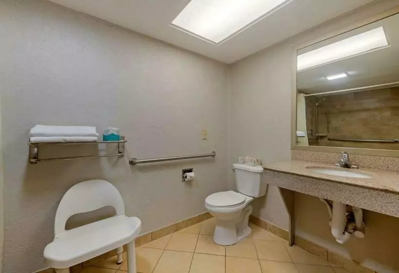 身障者適用キングサイズベッドルーム, Best Western Inn Of Palatka