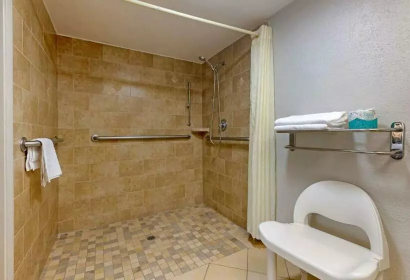 身障者適用キングサイズベッドルーム, Best Western Inn Of Palatka