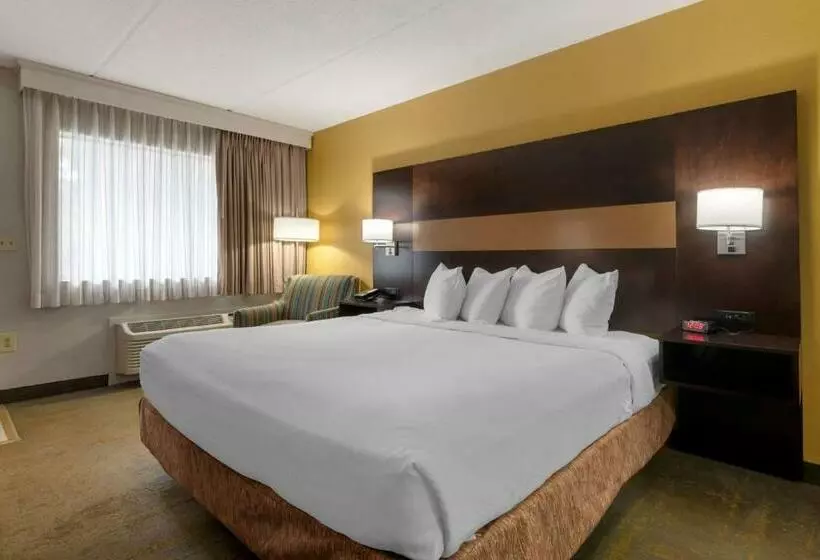 身障者適用キングサイズベッドルーム, Best Western Inn Of Palatka