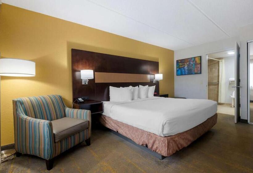 غرفة قياسية سرير كينج لذوى الإحتياجات الخاصة, Best Western Inn Of Palatka