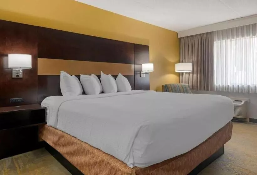 キングサイズベッドのスタンダードルーム, Best Western Inn Of Palatka