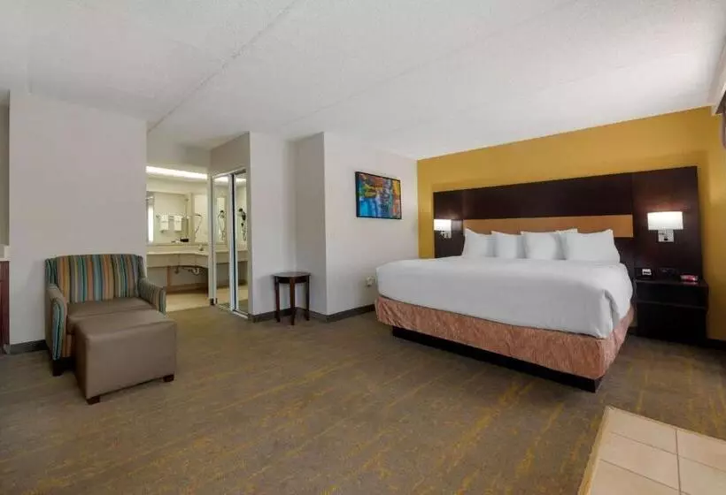 キングサイズベッドのスタンダードルーム, Best Western Inn Of Palatka