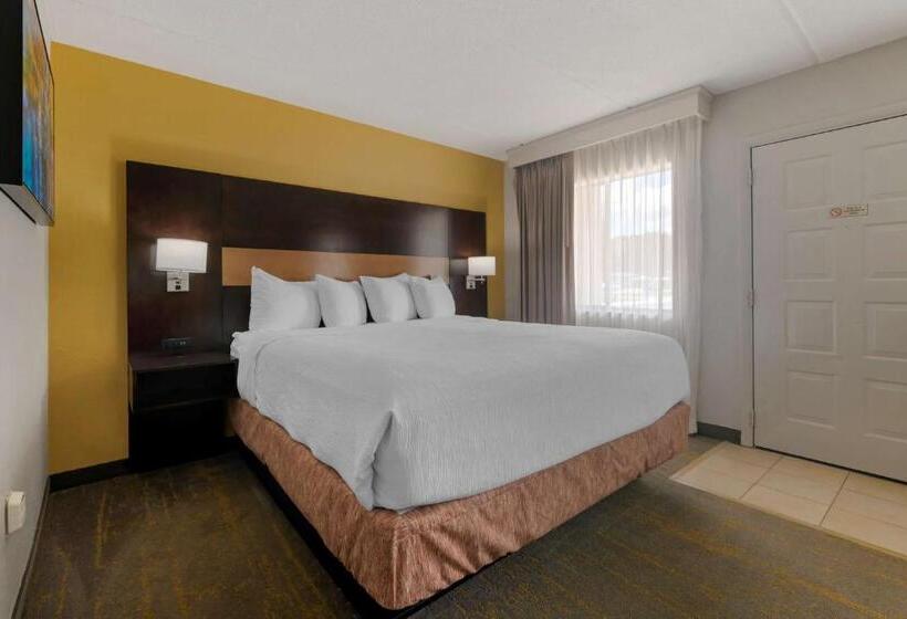 غرفة قياسية سرير كينج, Best Western Inn Of Palatka