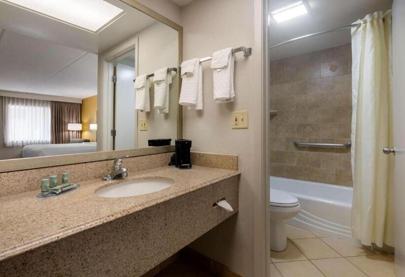 غرفة قياسية سرير كينج, Best Western Inn Of Palatka