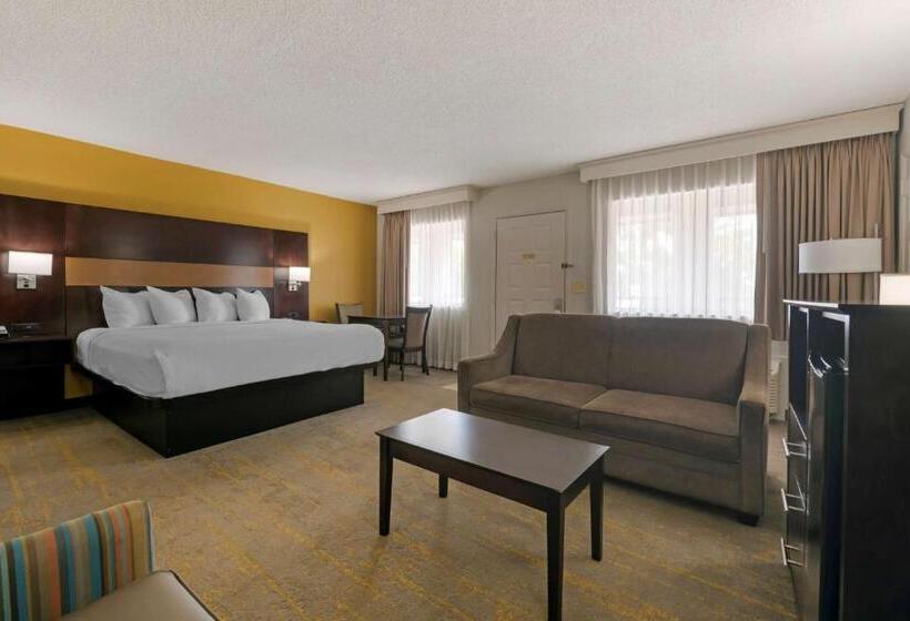 جناح سرير كينج, Best Western Inn Of Palatka
