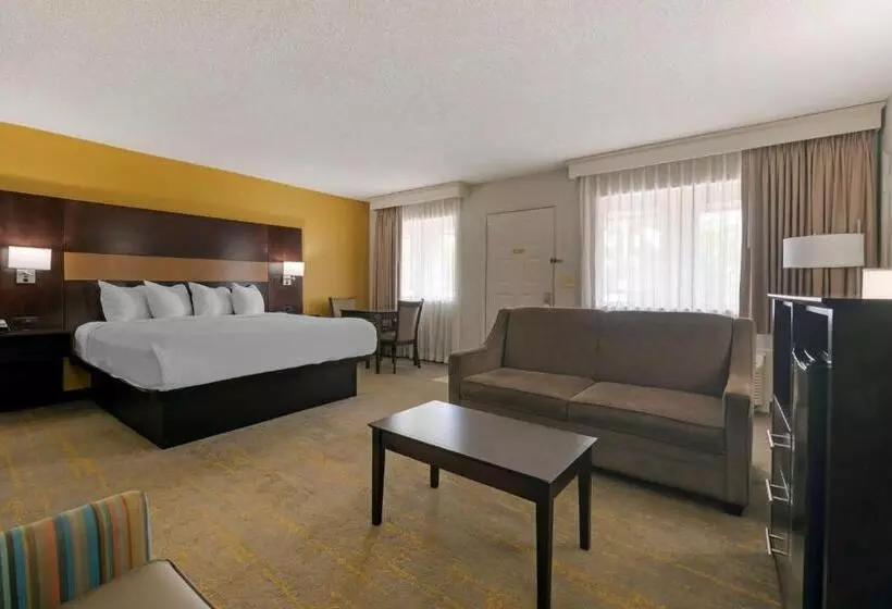 キングサイズベッドのスイートルーム, Best Western Inn Of Palatka