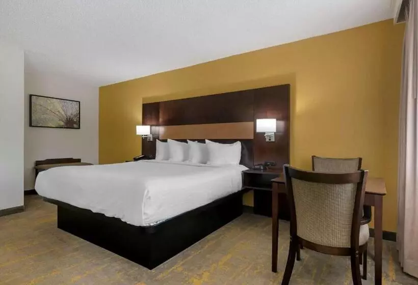 キングサイズベッドのスイートルーム, Best Western Inn Of Palatka