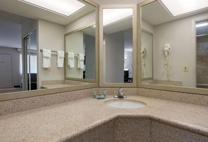 جناح سرير كينج, Best Western Inn Of Palatka