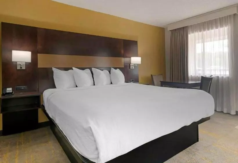 キングサイズベッドのスイートルーム, Best Western Inn Of Palatka