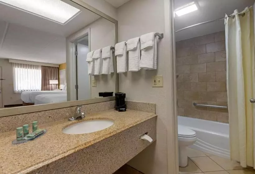 スタンダードルーム, Best Western Inn Of Palatka