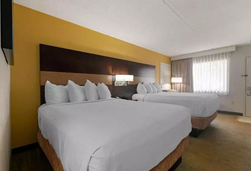 スタンダードルーム, Best Western Inn Of Palatka