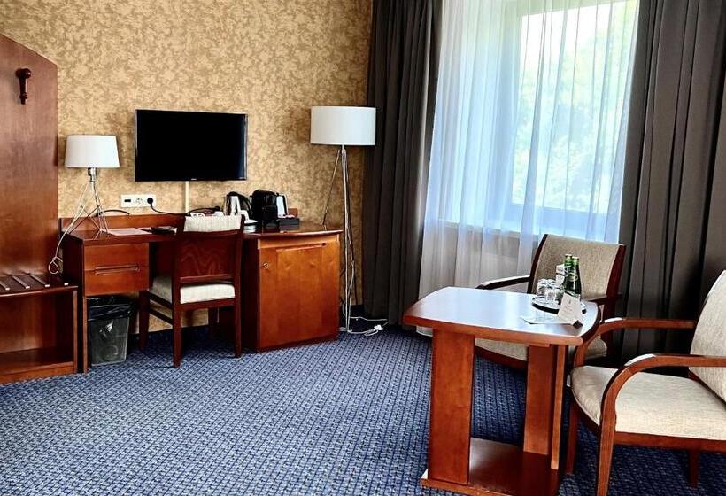 استودیو استاندارد با تخت کینگ, City