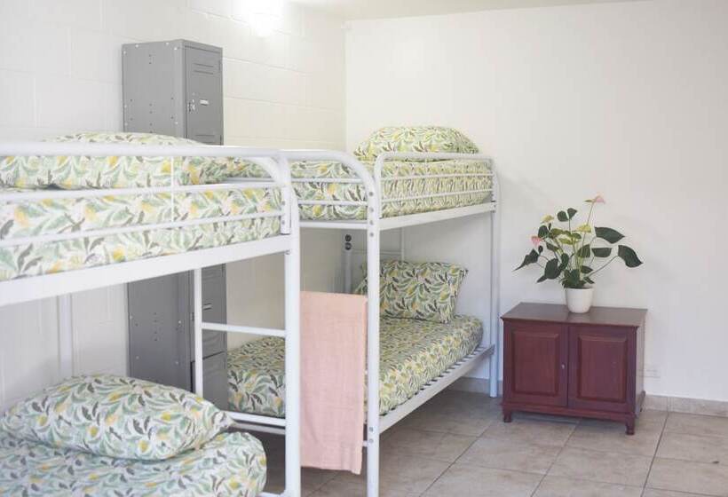 共用房间的床, Waikiki Beachside Hostel