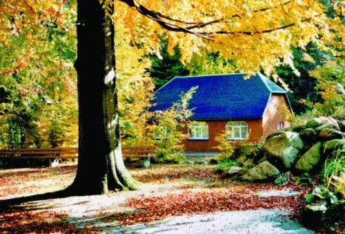 スタンダードバンガロー, Kurpark Flair Hotel Im Ilsetal
