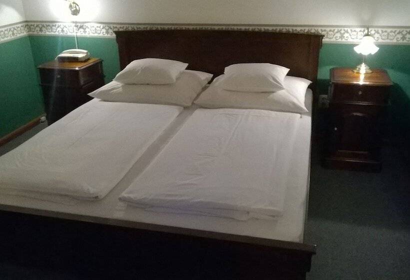 标准间, Nr 100 Szentendre Hotel Panzio Szolgáltatások