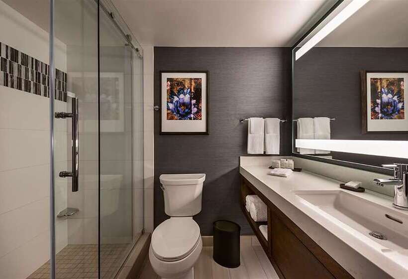 سوییت با چشمانداز استخر, Embassy Suites By Hilton San Juan Hotel & Casino