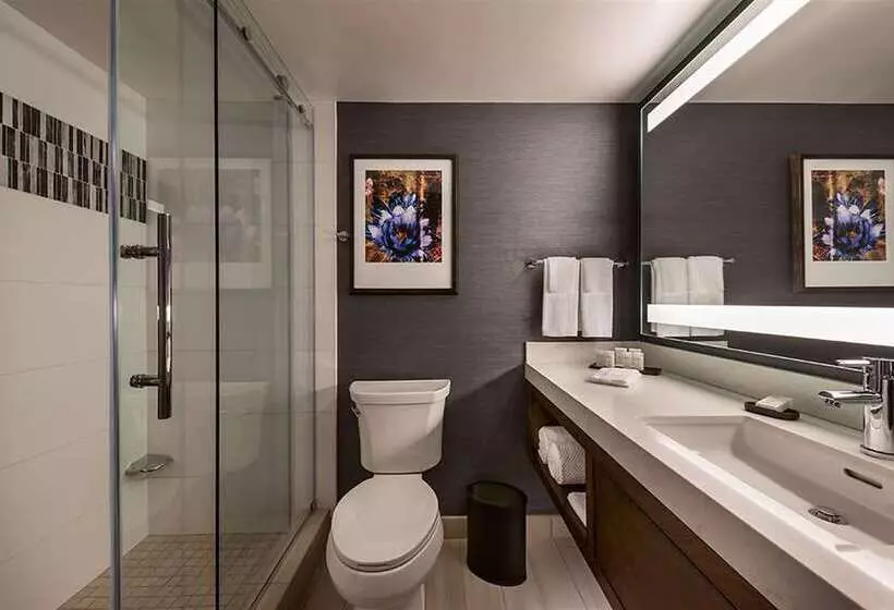 سوییت با چشمانداز استخر, Embassy Suites By Hilton San Juan Hotel & Casino