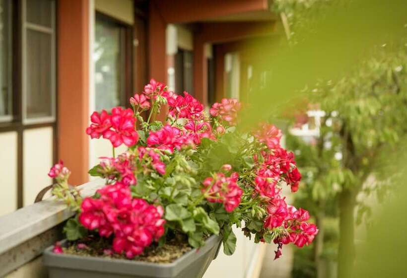 غرفة قياسية, Campanile Hotel Vlaardingen