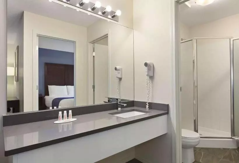 Standard-huone King-vuode, Days Inn By Wyndham Kelowna