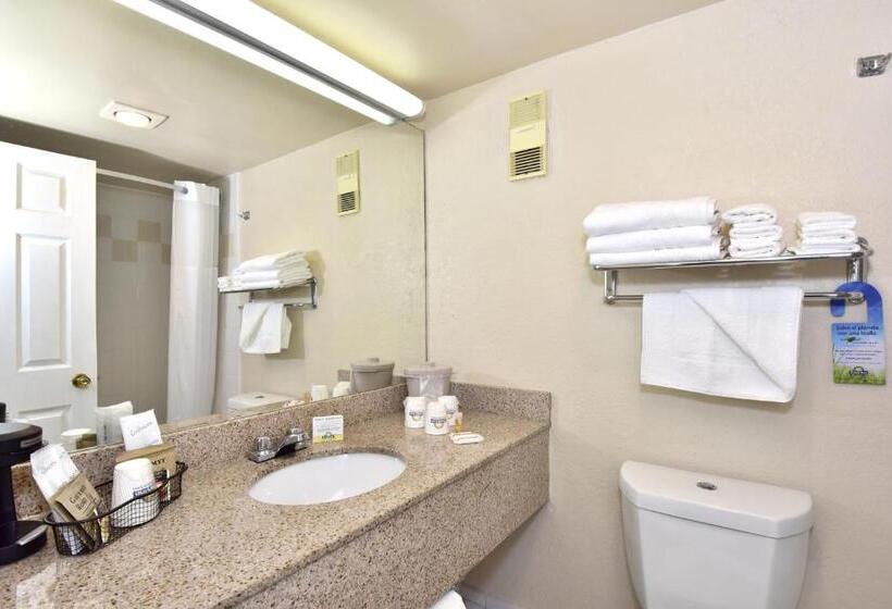 스탠다드 룸 킹사이즈 침대, Envision Hotel Miami International Airport