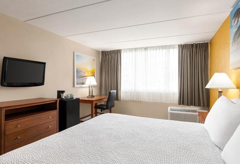 장애인을 위한 킹사이즈 침대 스탠다드 룸, Envision Hotel Miami International Airport