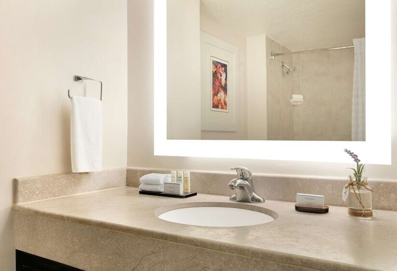 سوییت, Embassy Suites By Hilton San Juan Hotel & Casino