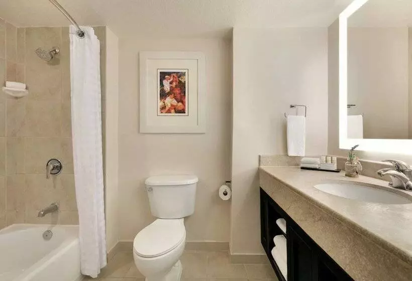 سوییت با چشمانداز استخر, Embassy Suites By Hilton San Juan Hotel & Casino