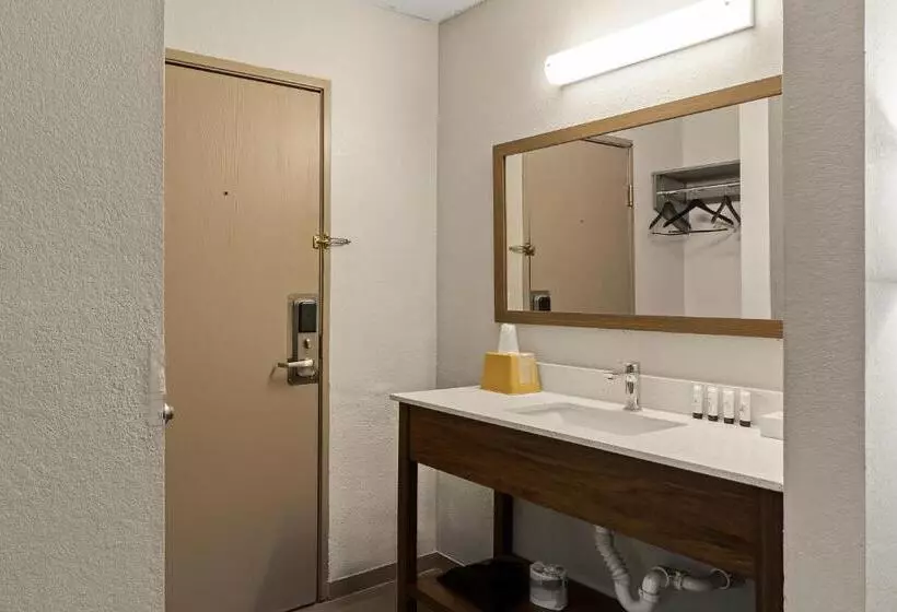 キングサイズベッドのスタンダードルーム, Red Lion Inn & Suites Caseyville