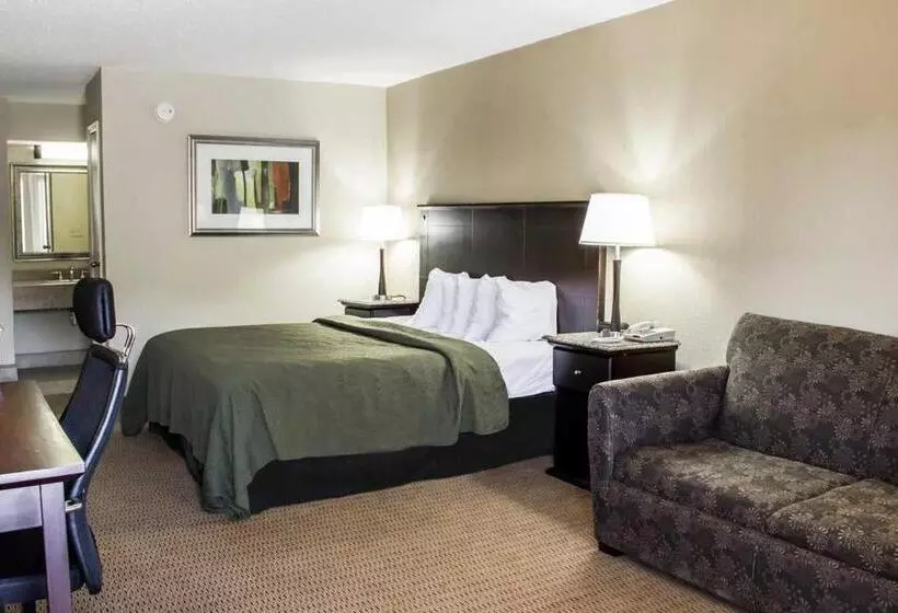 キングサイズベッドのスイートルーム, Quality Inn & Suites
