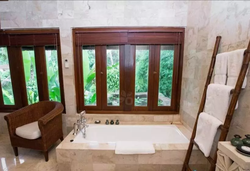 Suite, Ibah