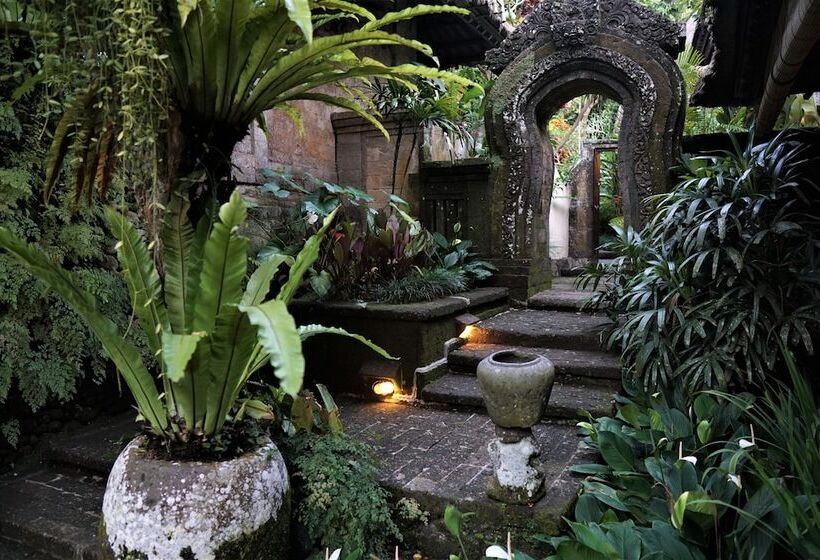 Королевский Люкс, Ibah