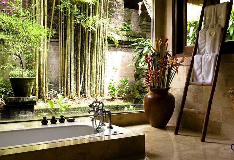 Королевский Люкс, Ibah