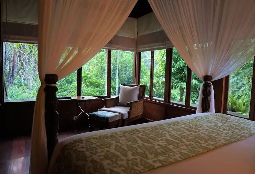 Königs Suite, Ibah