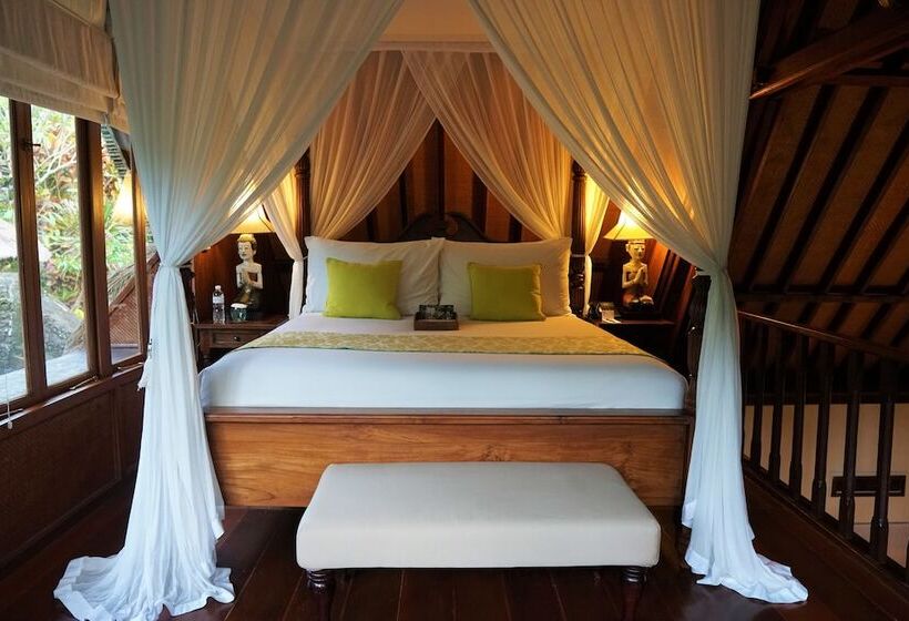 Королевский Люкс, Ibah