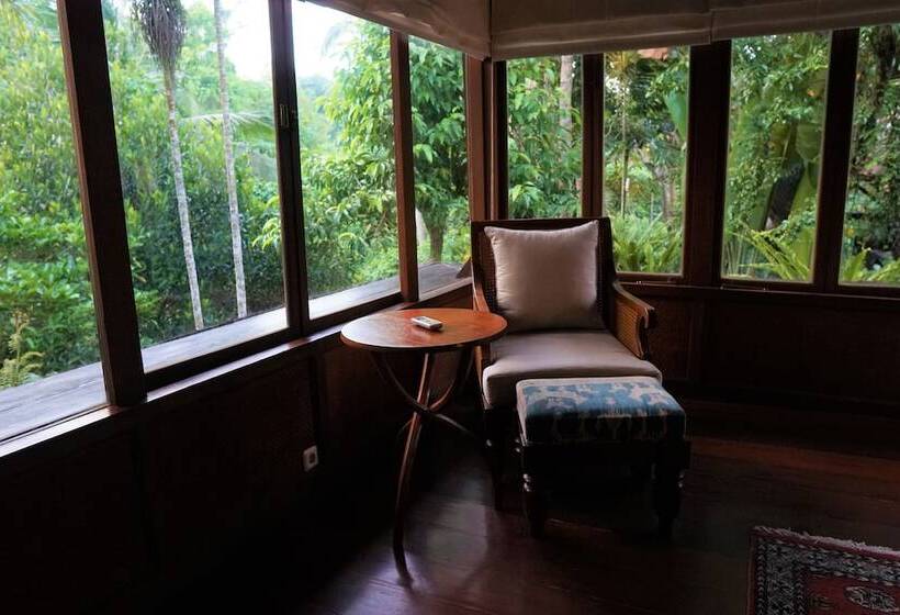 Королевский Люкс, Ibah