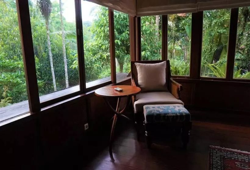 Königs Suite, Ibah