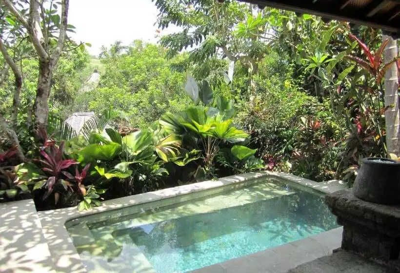 Villa 1 Schlafzimmer mit Schwimmbad, Ibah
