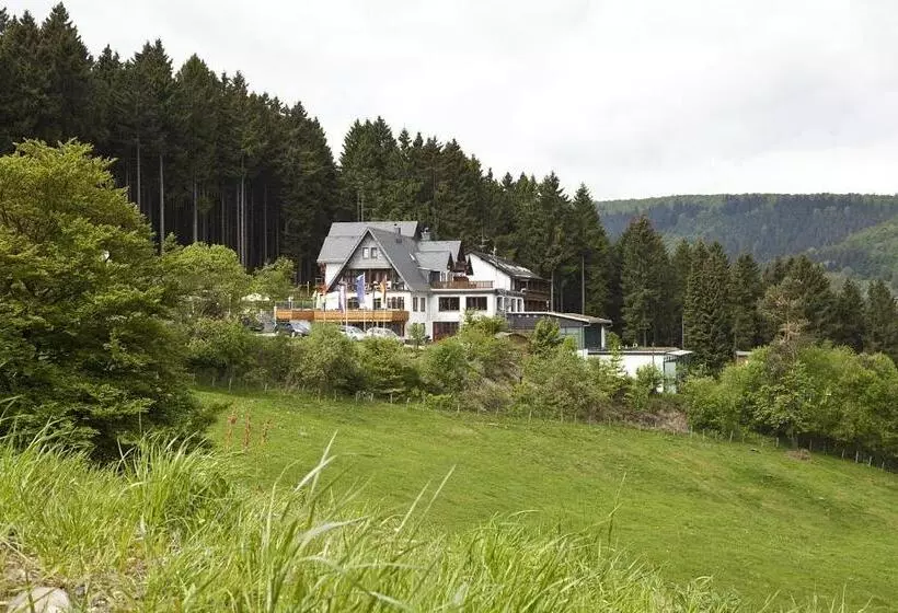 اتاق استاندارد, Wald Hotel Willingen