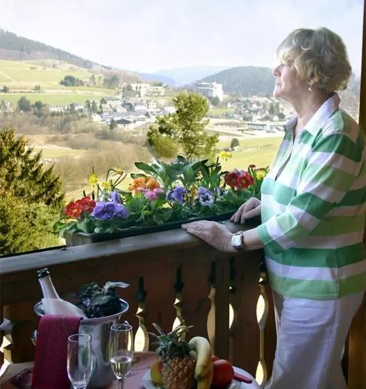 اتاق خانوادگی, Wald Hotel Willingen