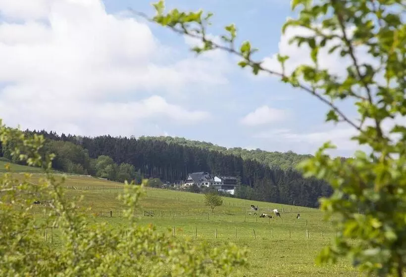اتاق استاندارد یک نفره, Wald Hotel Willingen