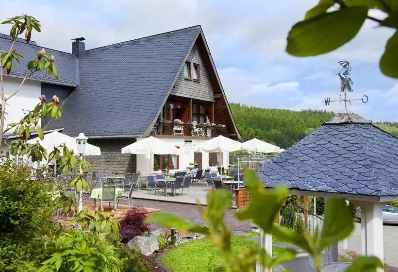 اتاق استاندارد یک نفره, Wald Hotel Willingen