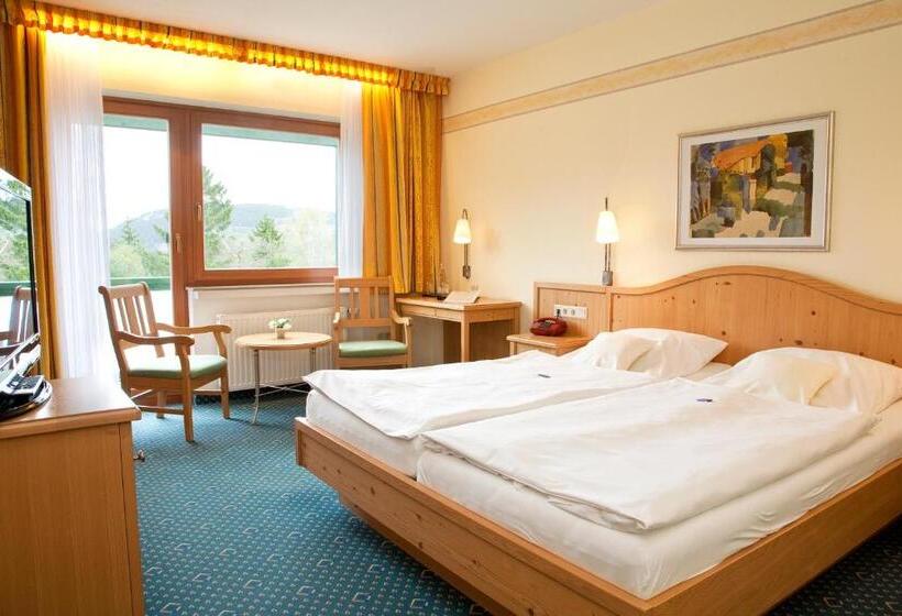 Номер Стандарт Индивидуальный, Wald Hotel Willingen