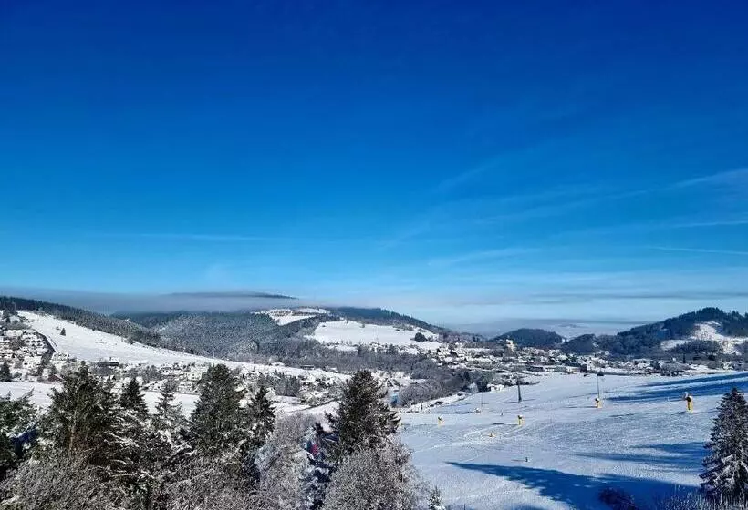 اتاق لوکس با بالکن, Wald Hotel Willingen