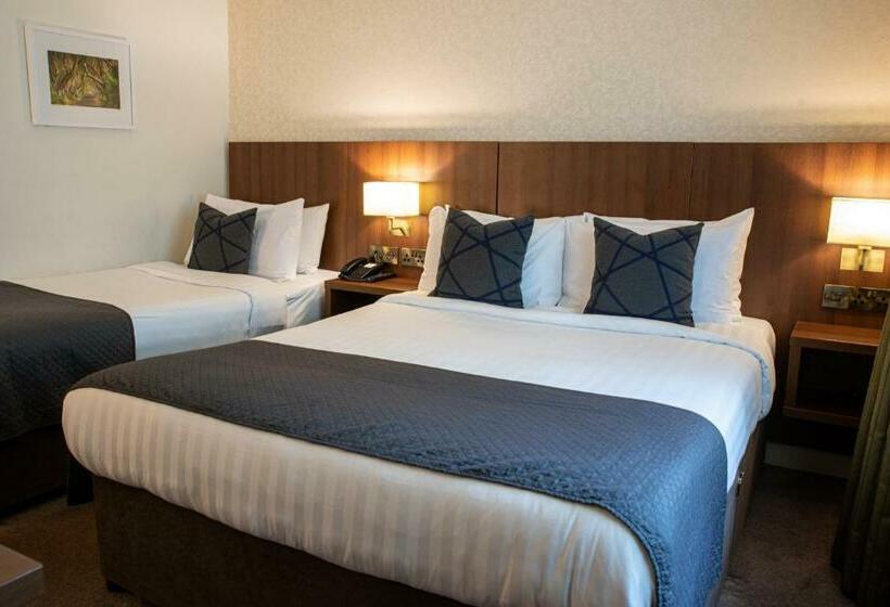 スタンダードシングルルーム, Arklow Bay