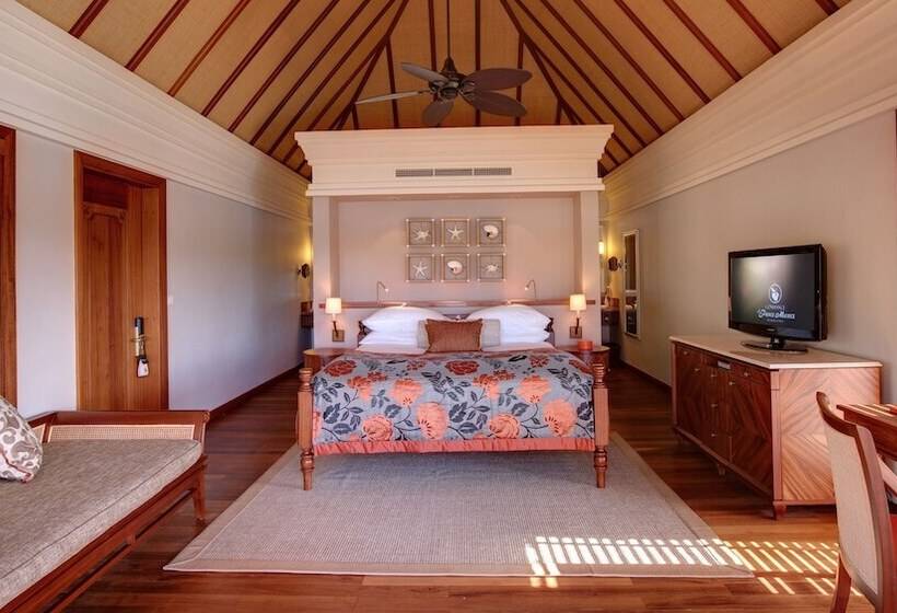 Suíte Júnior, Constance Prince Maurice